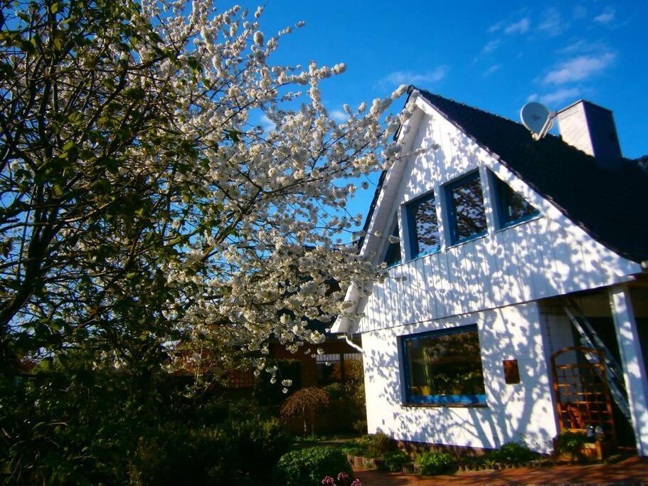 Ferienwohnung Hude Hude  Exteriér fotografie